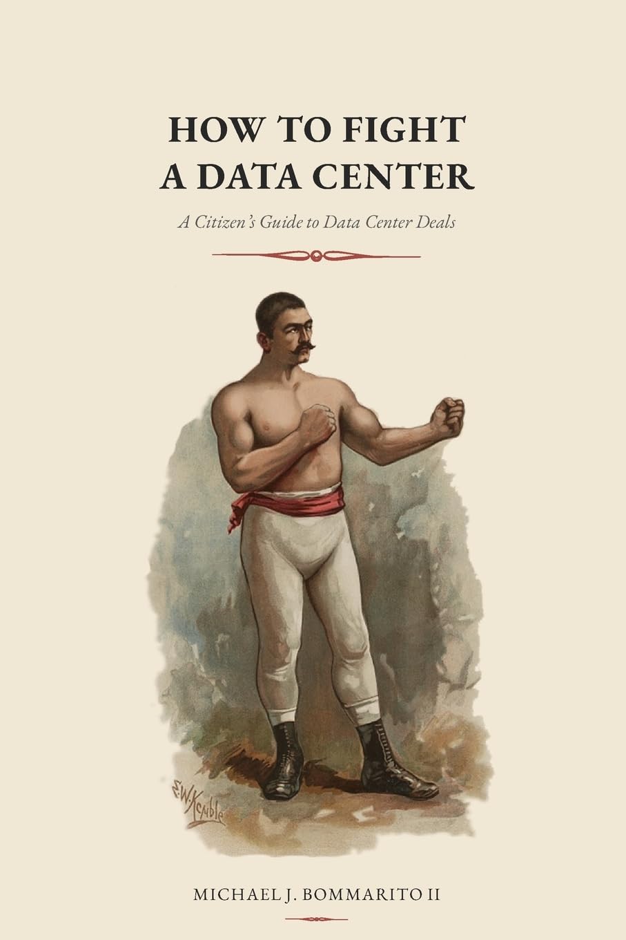 How to Fight a Data Center: A Citizen's Guide to Data Center Deals baixar o livro de graça