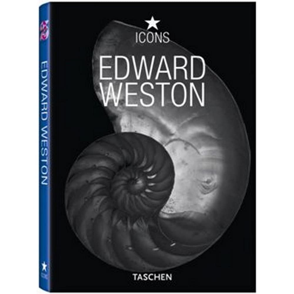 ler totalmente Icons - edward weston