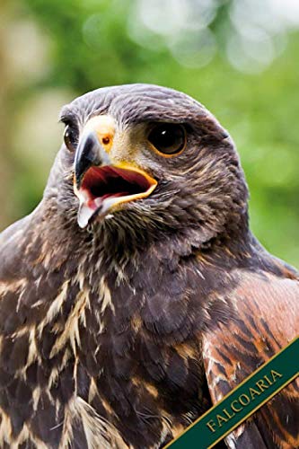 ler totalmente Falcoaria: Buzzard do deserto, Harris Hawk. Formato A5, 120 páginas, cinza discreto alinhado. Entradas diárias, notas e diário, caderno e recolha de... o falcoeiro, amigos da natureza e aves.