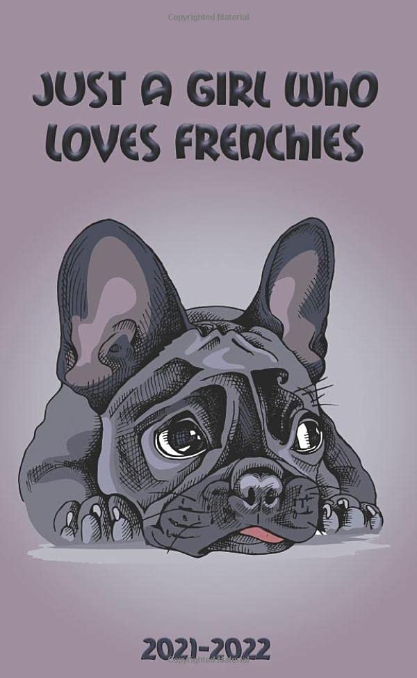 Just a Girl Who Loves Frenchies 2021-2022: Two Year (24-Months) Monthly Pocket Planner Organizer Calendar Agenda - Sweet French Bulldog baixar livro de graça