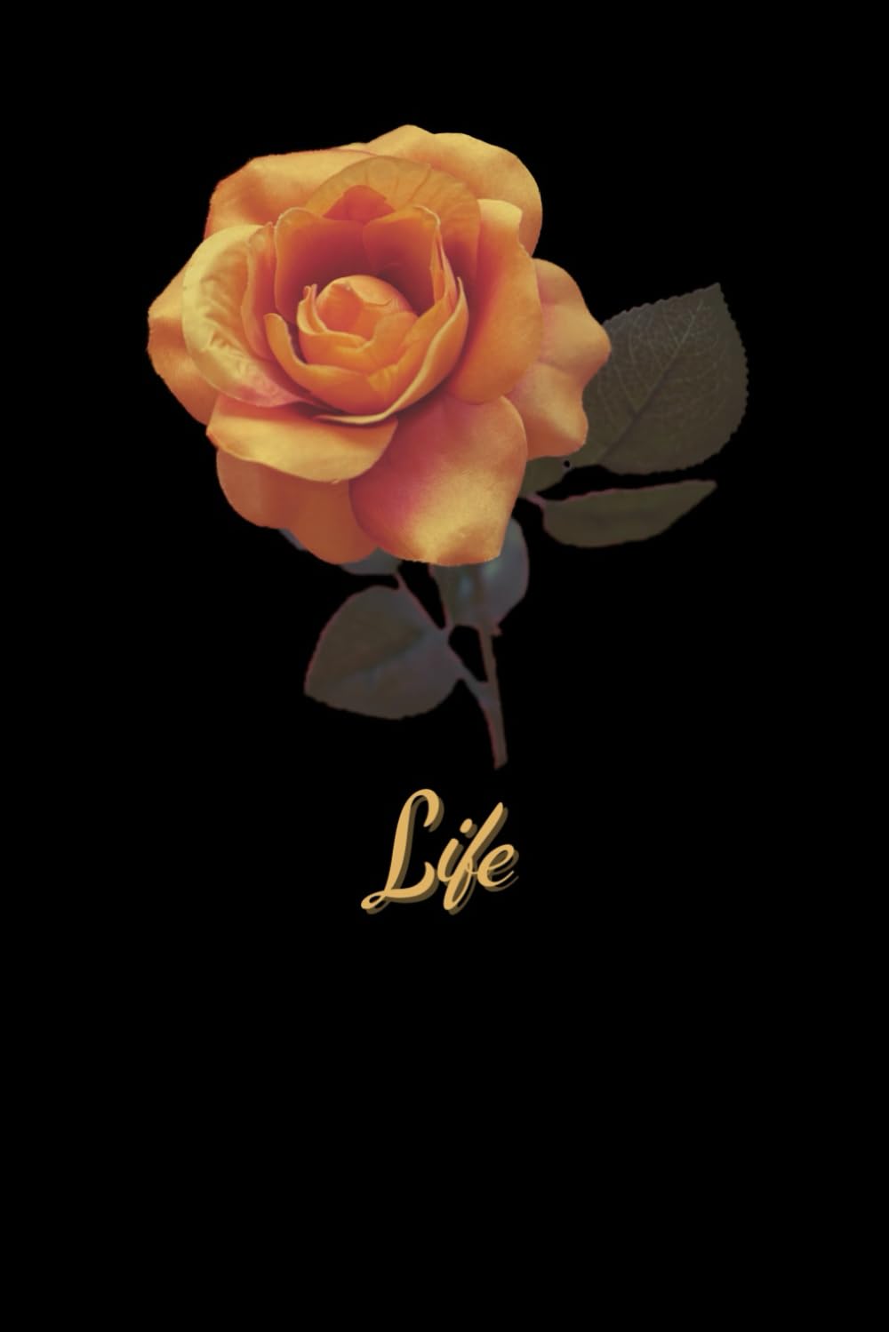 ler totalmente Life: This elegant black and gold notebook features a beautiful rose design, making it perfect for journaling, planning, and self-reflection. Whether... it offers a high-quality experience.