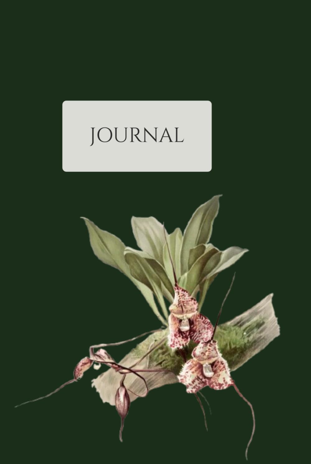 capítulo por capítulo baixar Vintage Botanical Journal: Volume 3 of 12 - Premium Hardcover Combined Lined & Sketch Notebook with Cream Paper, 150 Pages - Antique Victorian Floral Illustration Aesthetic Diary for Writing and Art