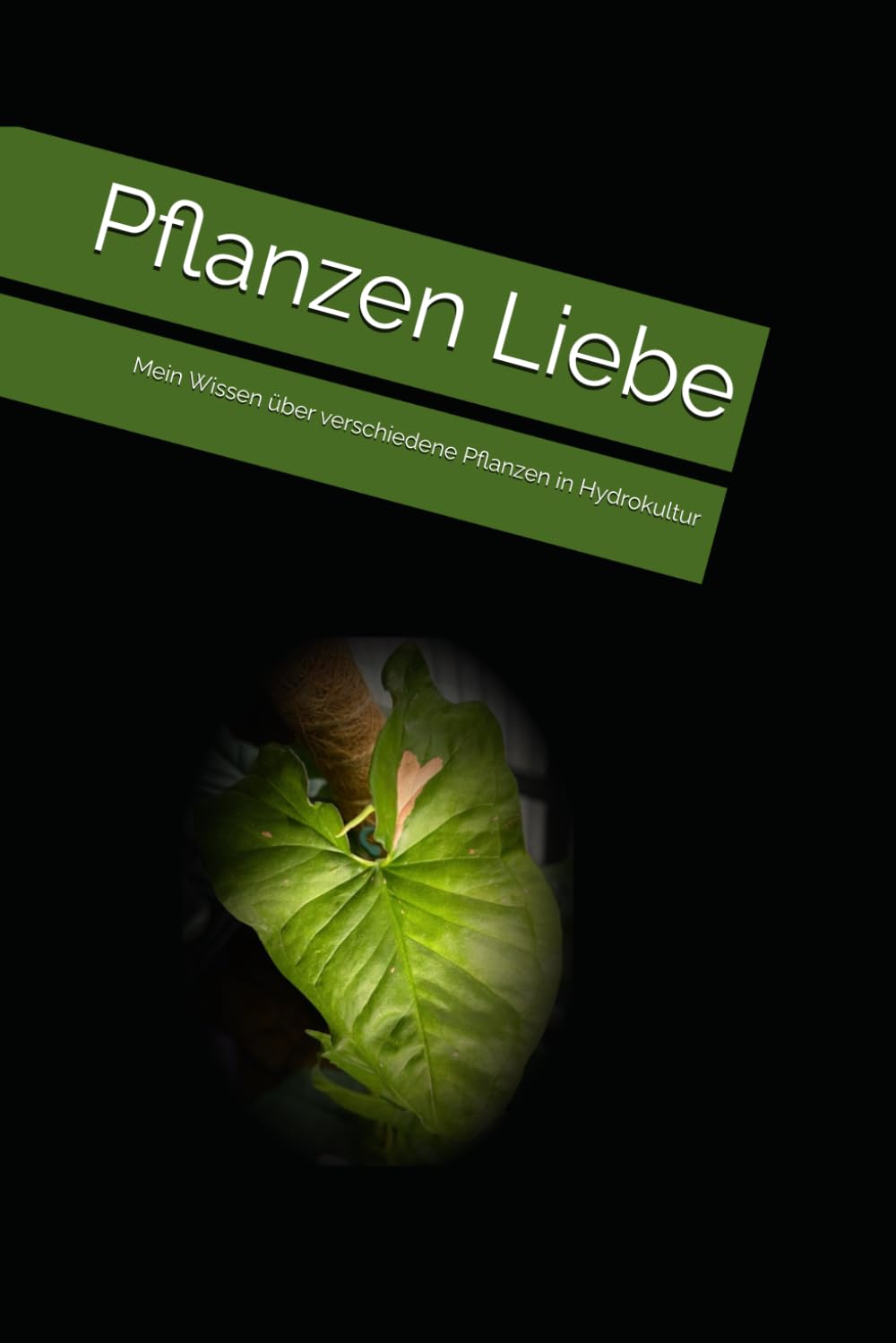 Pflanzen Liebe: Mein Wissen über verschiedene Pflanzen in Hydrokultur (German Edition) baixar livro de graça