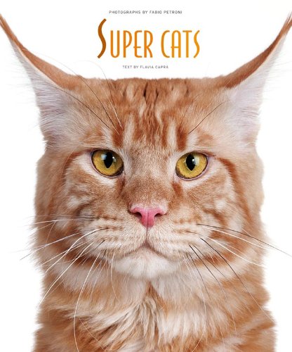 capítulo por capítulo baixar Super Cats