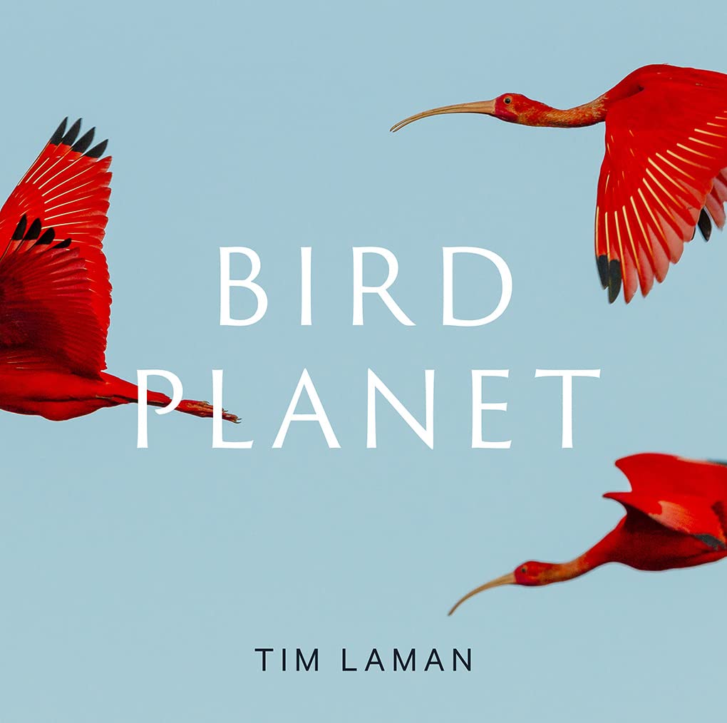 ler totalmente Bird Planet: A Photographic Journey
