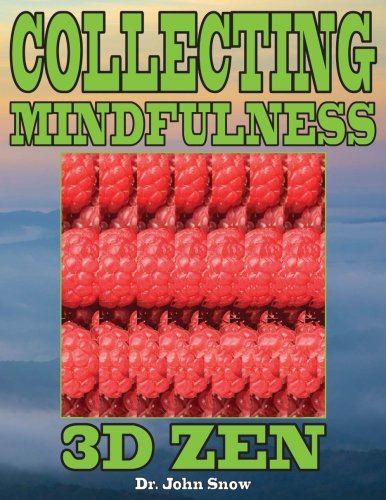 Collecting Mindfulness: 3D Zen: Volume 1 baixar livro de graça