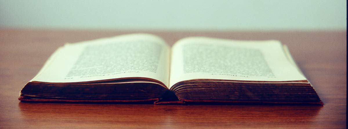 BASES DA ORTOGRAFIA PORTUGUESA: The Portuguese and English Edition baixar o livro de graça