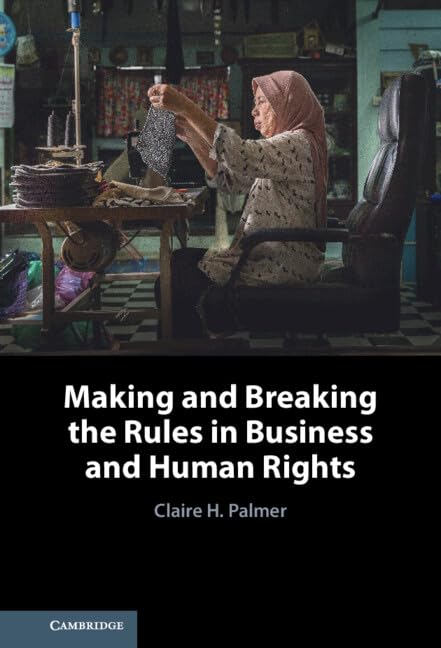ler totalmente Making and Breaking the Rules in Business and Human Rights (English Edition)
