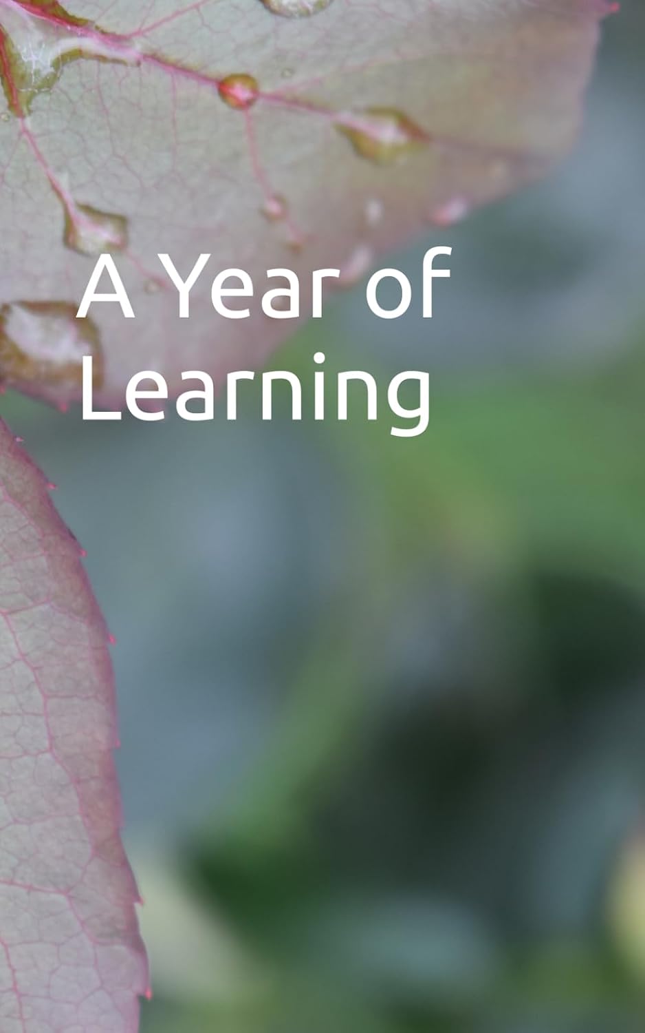 A Year of Learning