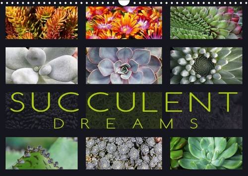 ler totalmente Succulent Dreams 2016: Beautiful portraits of selected succulents