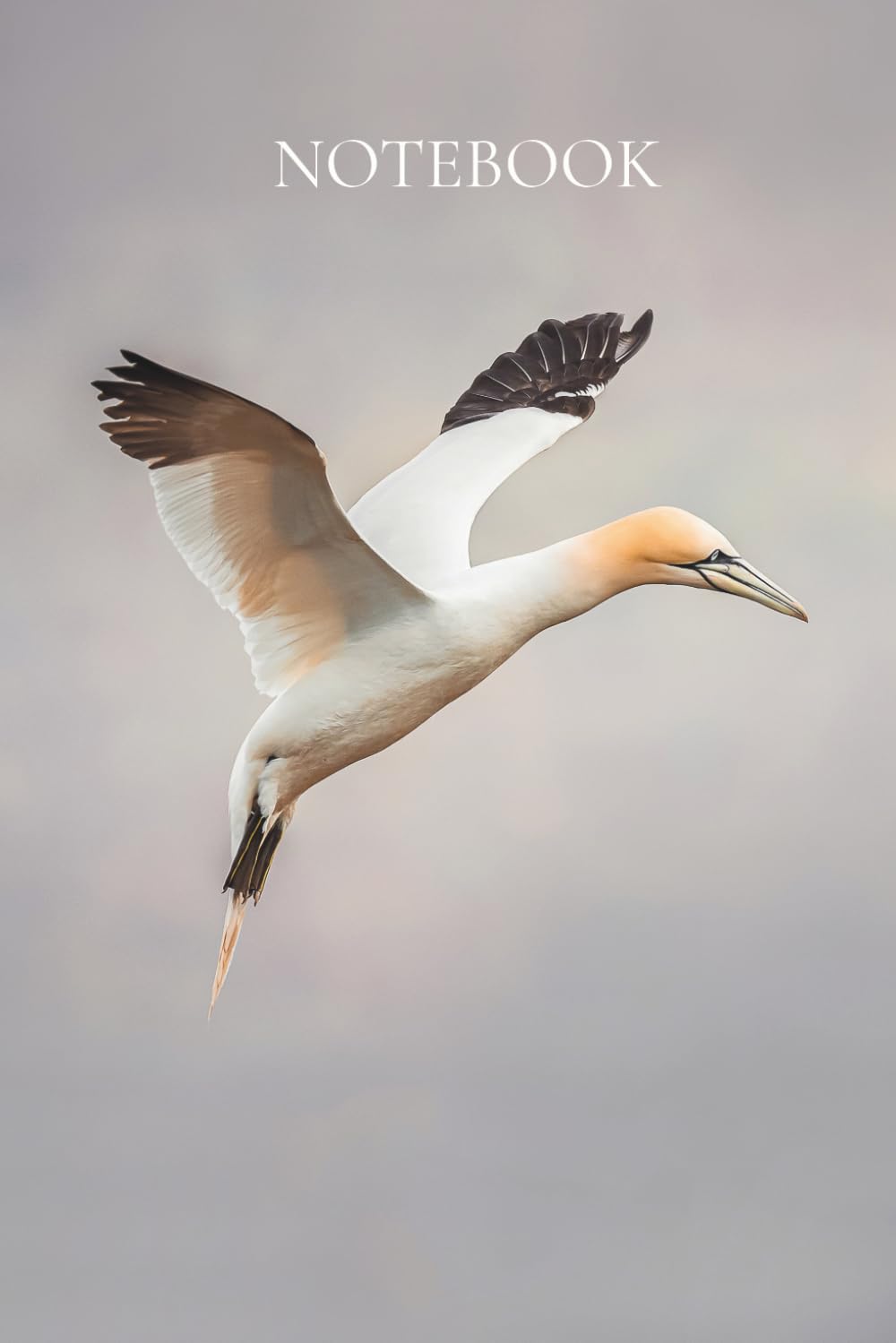 Gannet In Flight - A Beautiful Notebook for Bird Lovers: Writing, Planning, and Reflection. With an Original Art Cover