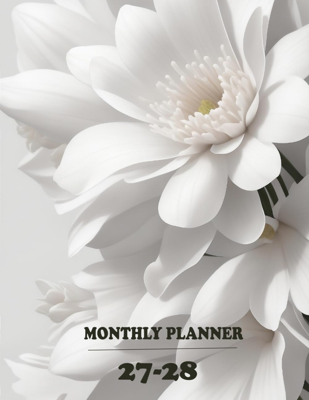 ler totalmente 2027-2028 Monthly Planner: Large Two Year - January 2027 through December 2028 - with Holidays and Inspirational Quotes.