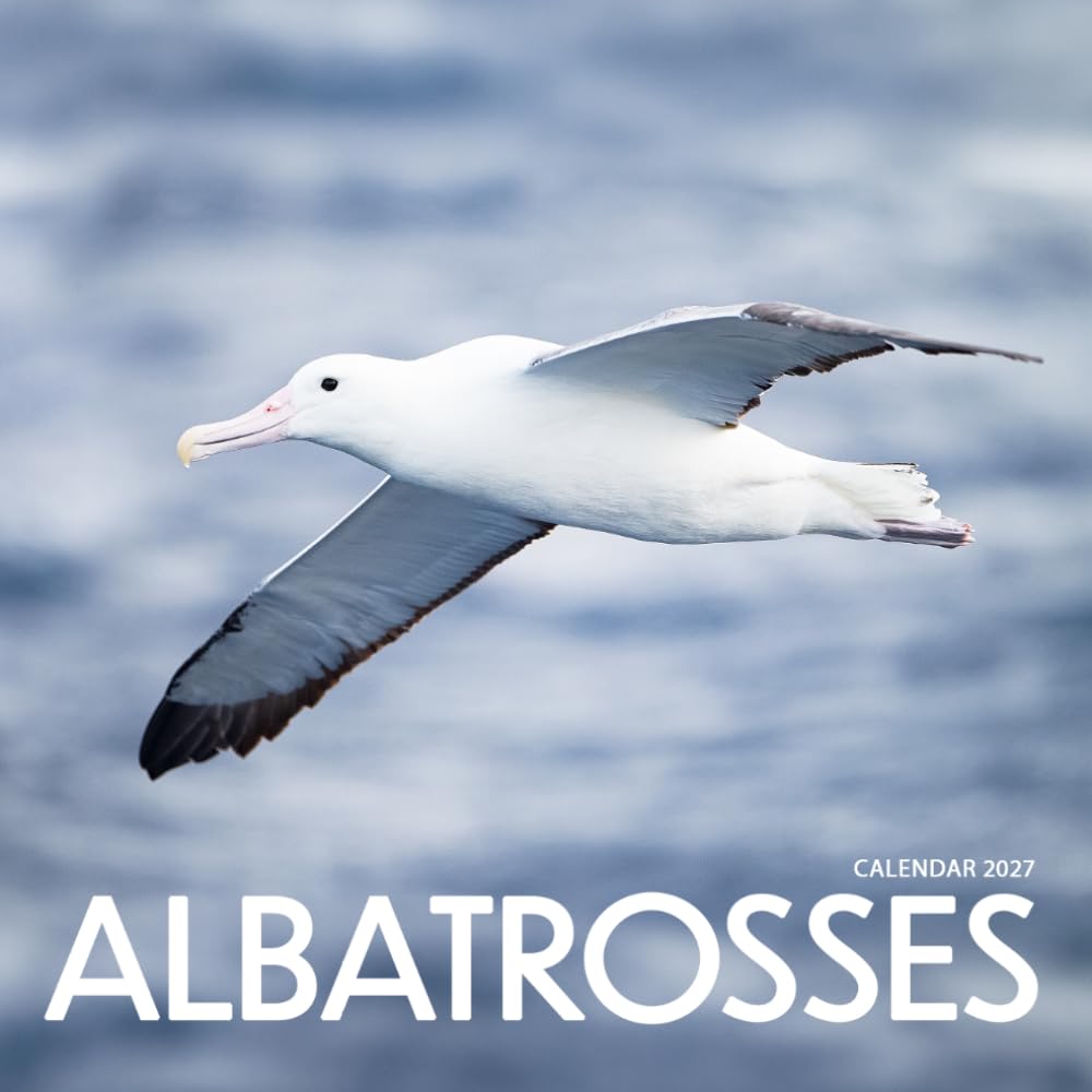 Albatrosses Calendar 2027: Bird Portraits and Natural Scenes
