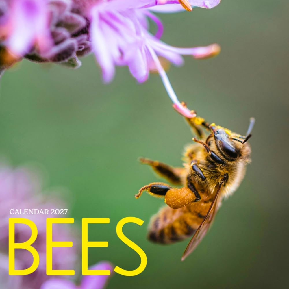 Bees Calendar 2027: Pollinators and Nature Scenes