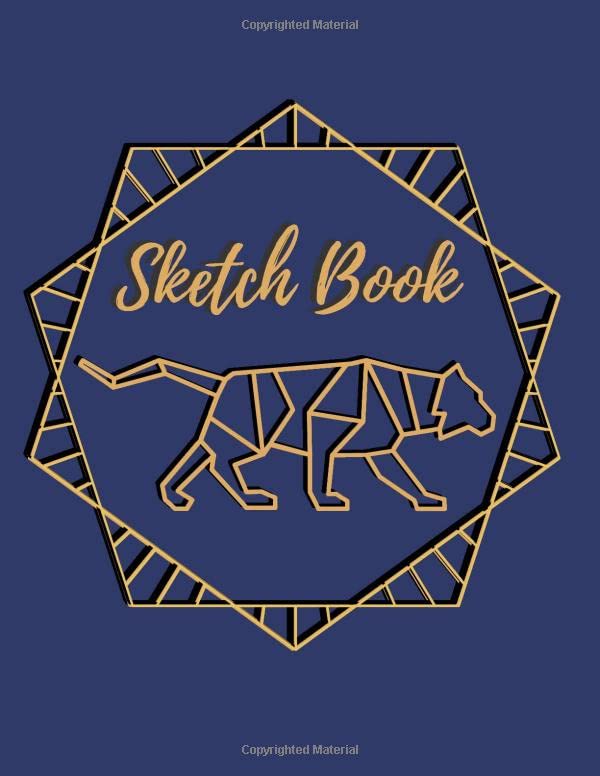 Sketch Book: Sketch book Notebook for Drawing, Painting,Writing,Sketching and Doodling for kids 120 Pages,Large size (8.5x11 in) baixar o livro de graça