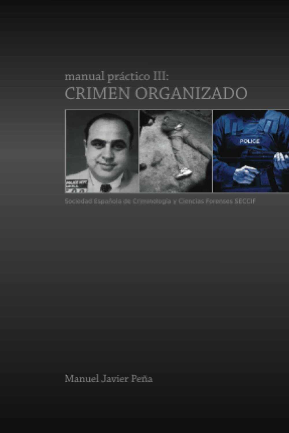 ler totalmente Manual práctico III: Crimen organizado (Manuales prácticos SECCIF) (Spanish Edition)