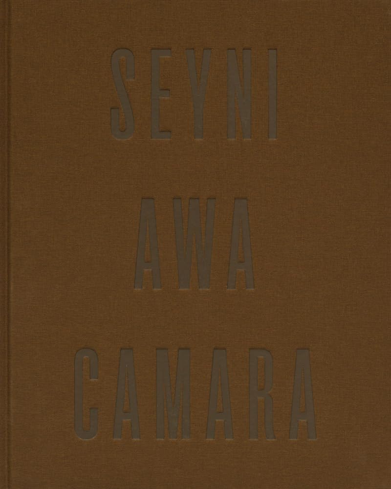 capítulo por capítulo baixar Seyni Awa Camara