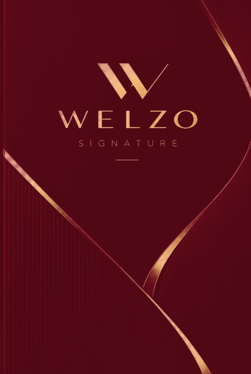 WELZO SIGNATURE: A Premium Hardcover Notebook-Burguandy&Gold baixar livro de graça