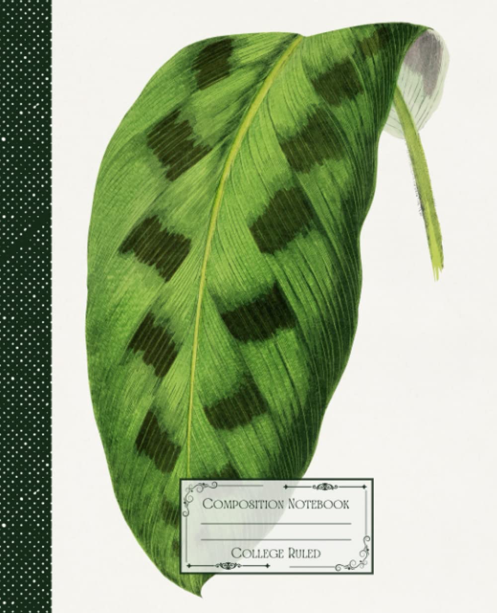 Vintage Tropical Leaf Composition Notebook College Ruled: Vintage Tropical Illustration | Classic Composition Notebook for Writing and Journaling |... for College Students, School and Work. baixar livro de graça