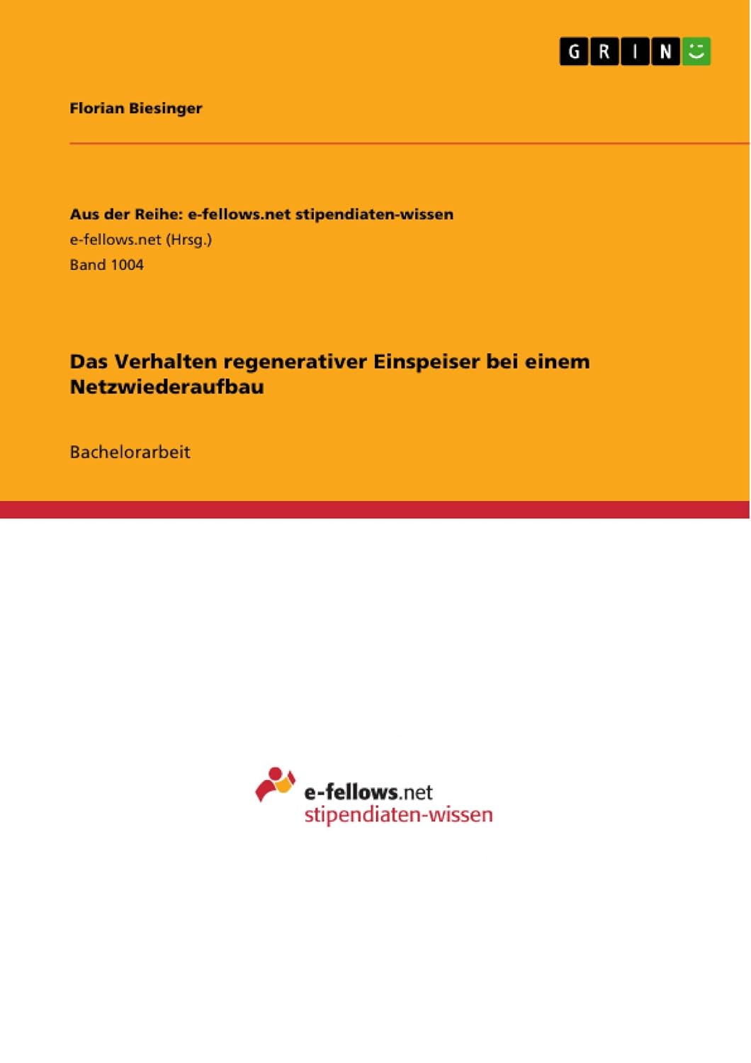 Das Verhalten regenerativer Einspeiser bei einem Netzwiederaufbau (Aus der Reihe: e-fellows.net stipendiaten-wissen 1004) (German Edition)