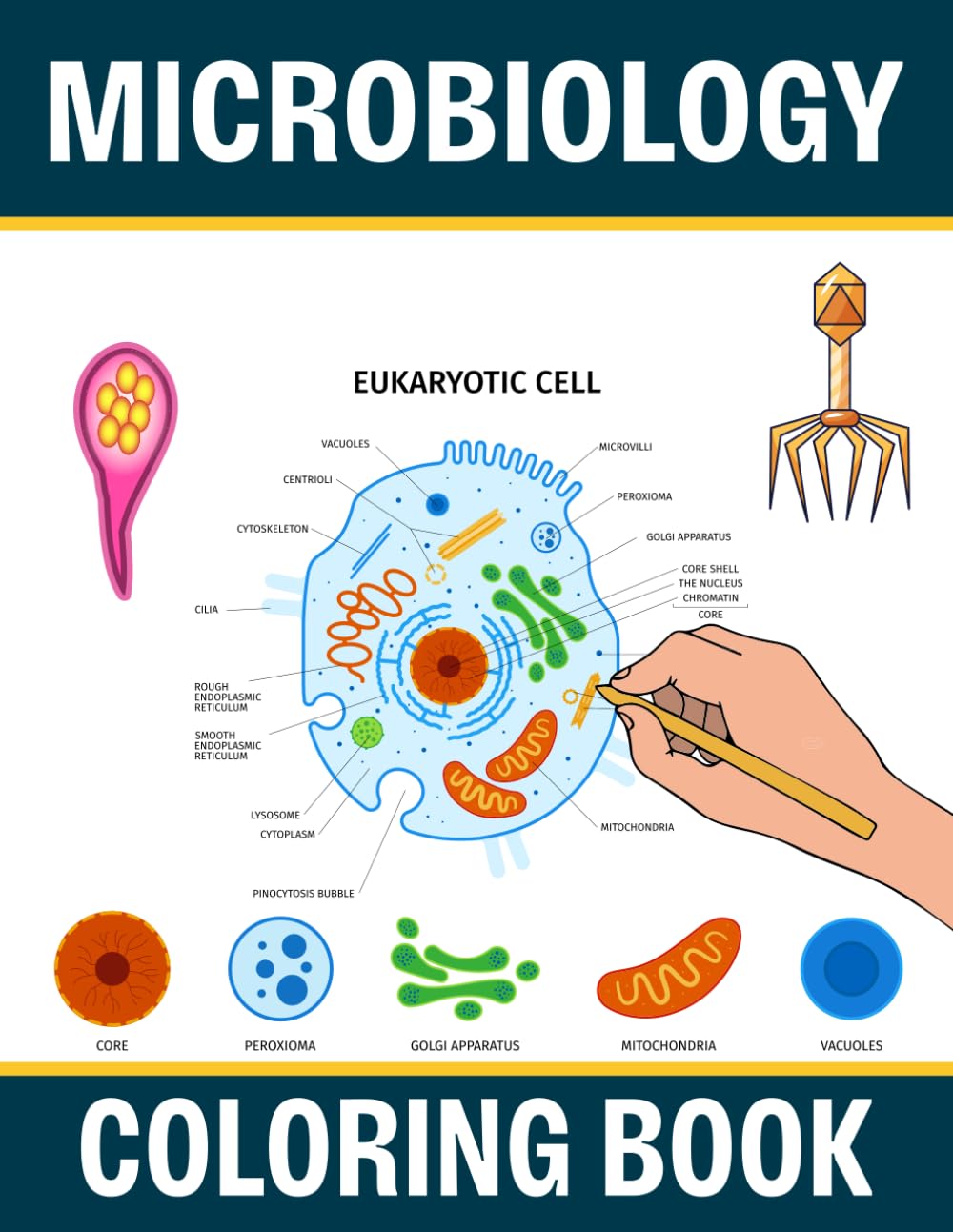 capítulo por capítulo baixar Microbiology Coloring Book: Microbiology coloring pages illustrating microorganisms bacteria viruses and laboratory scenes