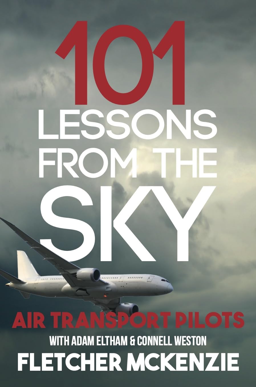 capítulo por capítulo baixar 101 Lessons From The Sky: Commercial Aviation (English Edition)