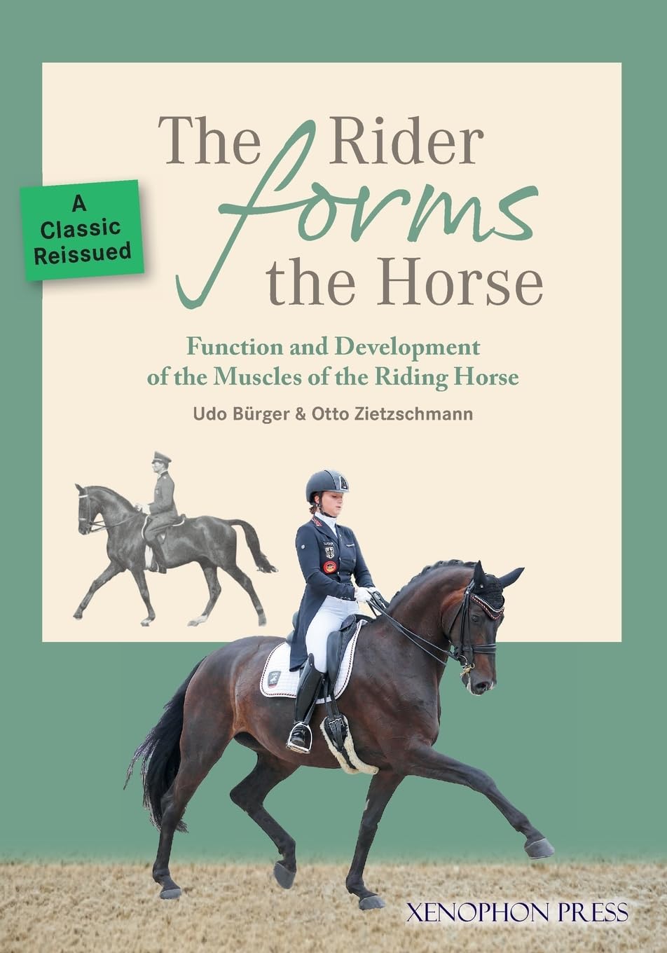 The Rider Forms the Horse: Function and Development of the Muscles of the Riding Horse baixar o livro de graça