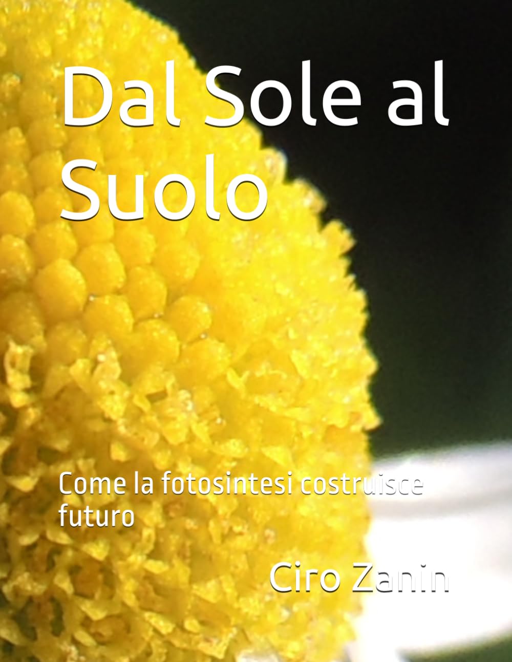 ler totalmente Dal Sole al Suolo: Come la fotosintesi costruisce futuro (Fondamenti dell’Agricoltura Biologica Rigenerativa) (Italian Edition)