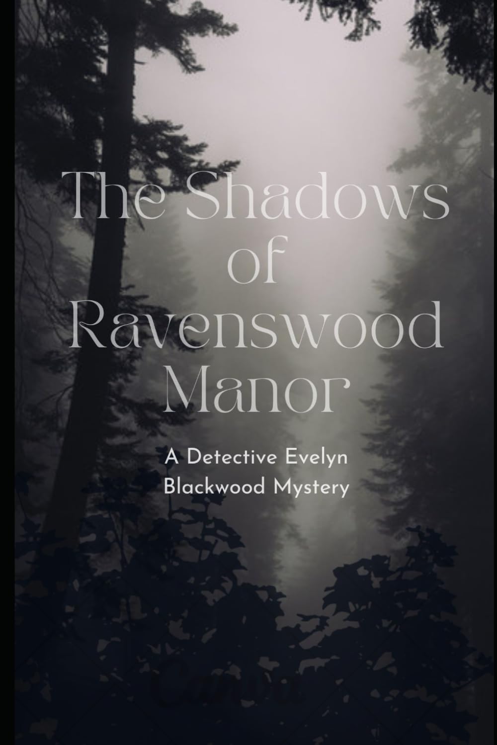 The Shadows of Revenswood Manor: A Detective Evelyn Blackwood Mystery baixar livro de graça