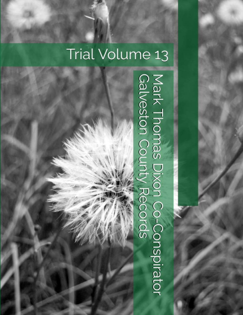 capítulo por capítulo baixar Mark Thomas Dixon Co-Conspirator Galveston County Records: Trial Volume 13 (Barbara Holder Trial Records)
