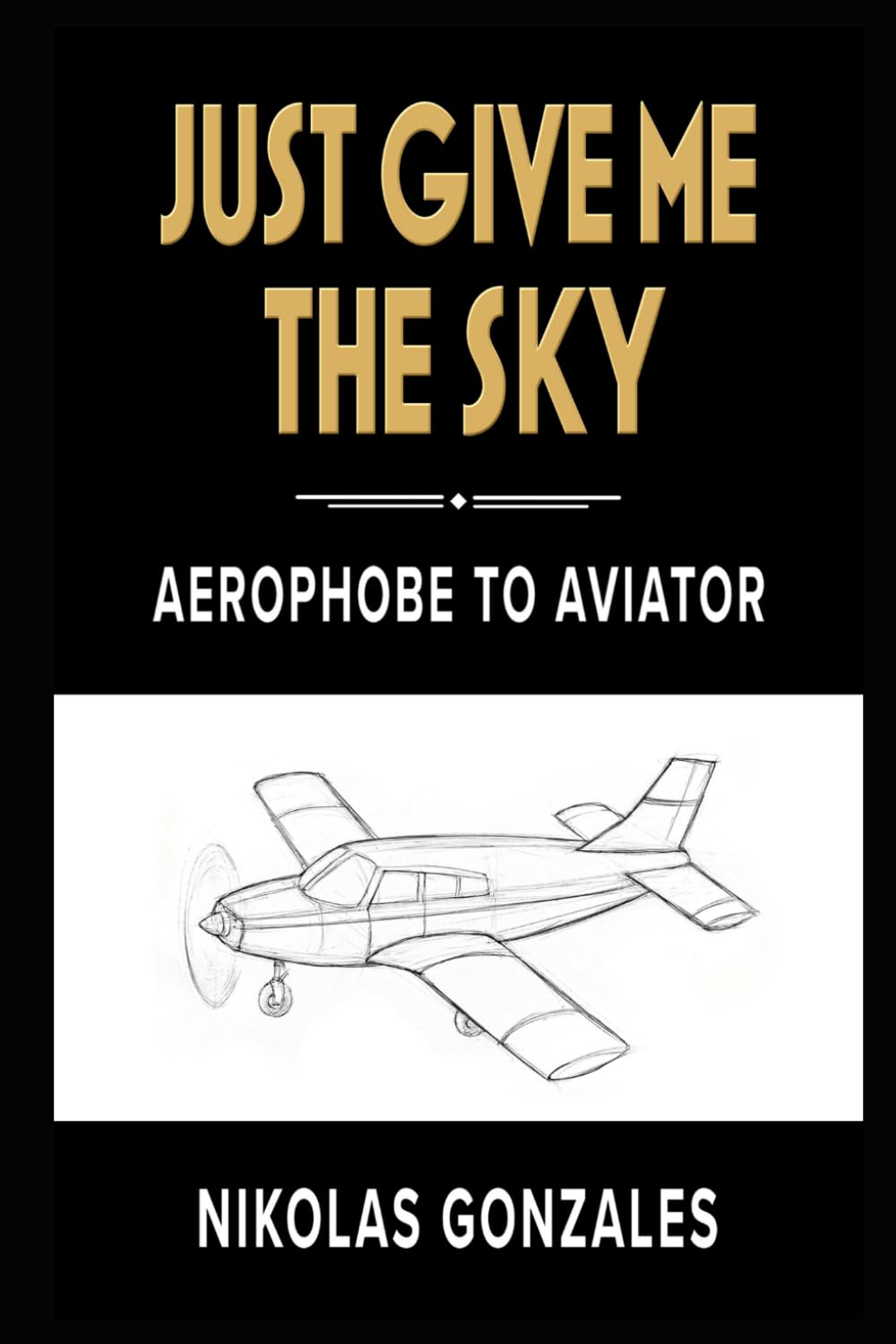 capítulo por capítulo baixar Just Give Me the Sky: Aerophobe to Aviator