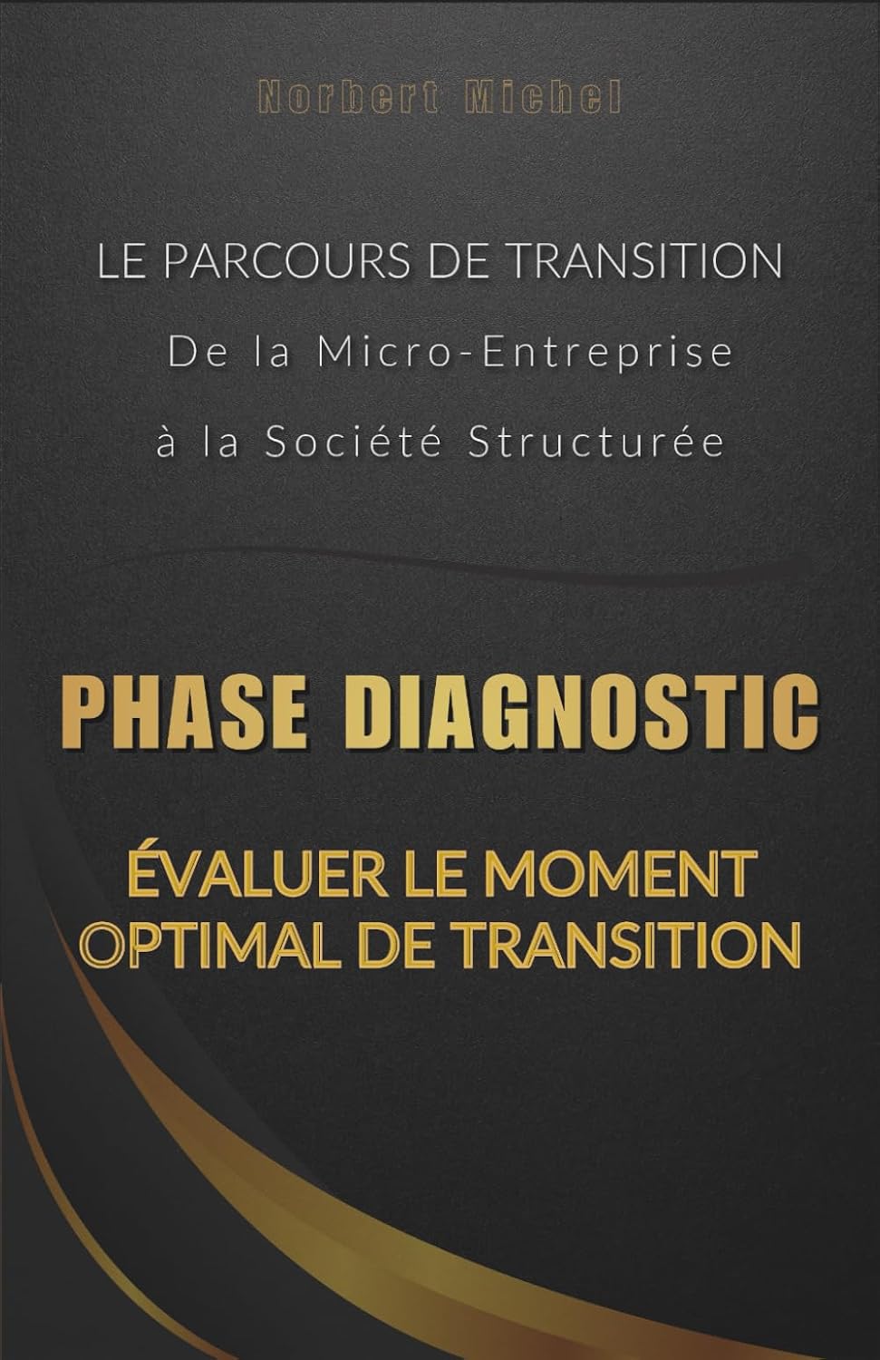 ler totalmente Phase Diagnostic: Évaluer le Moment Optimal de Transition (Le Parcours de Transition: De la Micro-Entreprise à la Société Structurée) (French Edition)