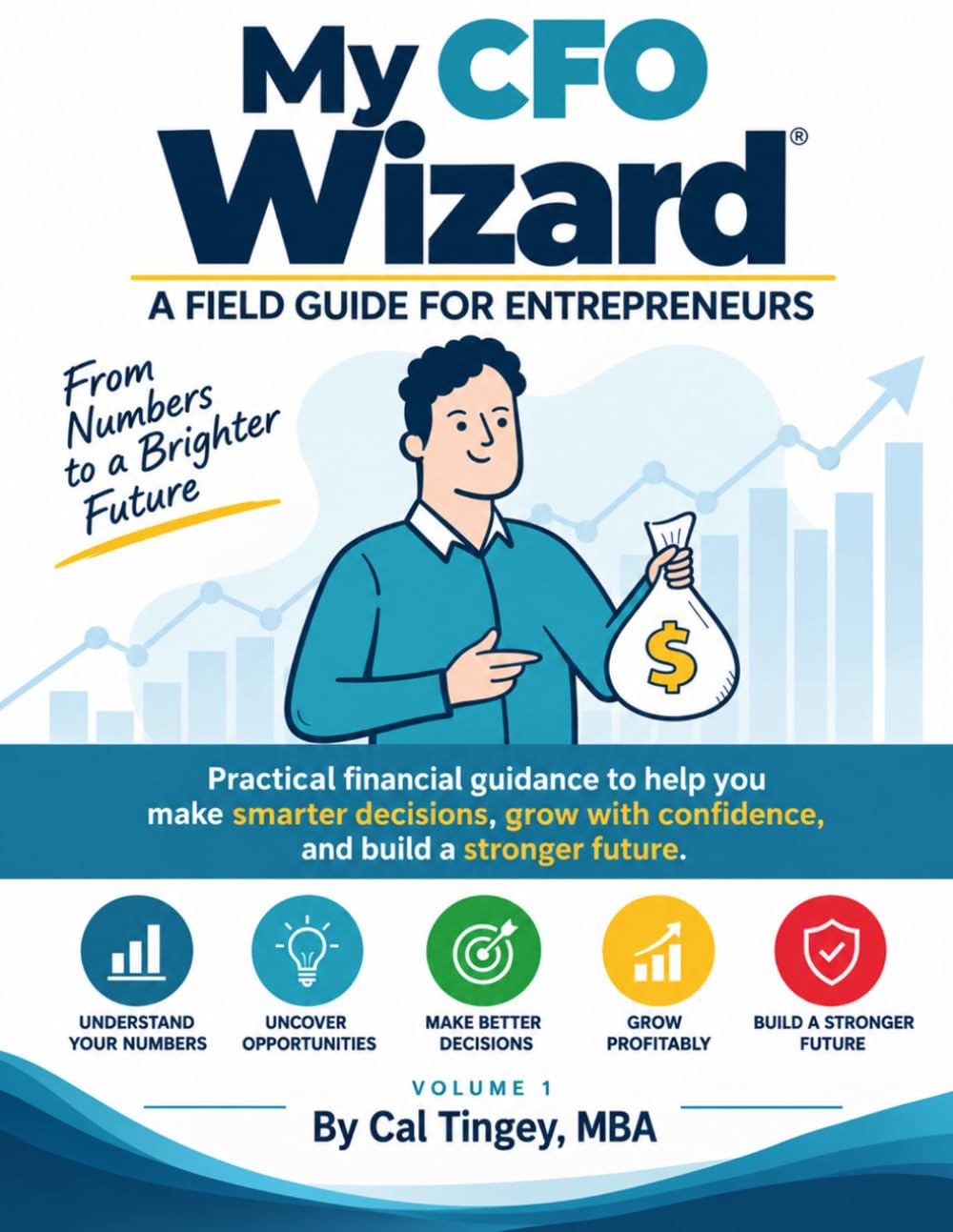 My CFO Wizard: A Field Guide for Entrepreneurs: Volume 1