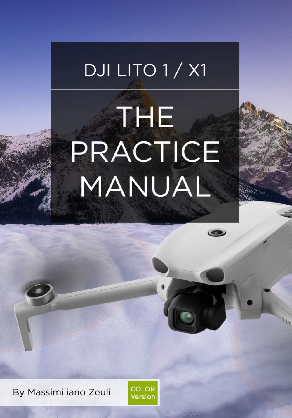 ler totalmente DJI Lito 1 / X1 - The Practice Manual: Color Version