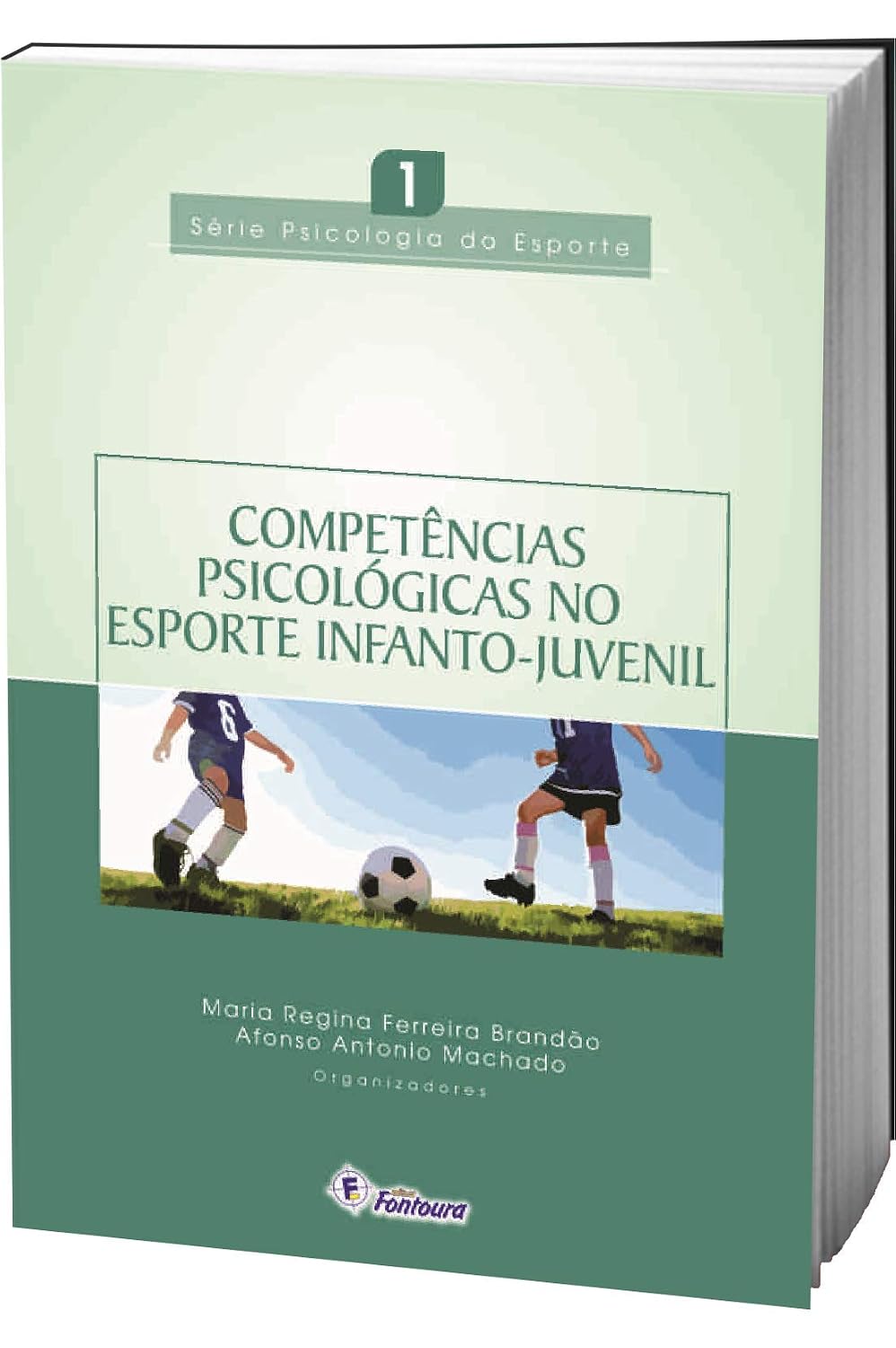 Competência Psicológicas no Esporte Infanto-juvenil baixar o livro de graça