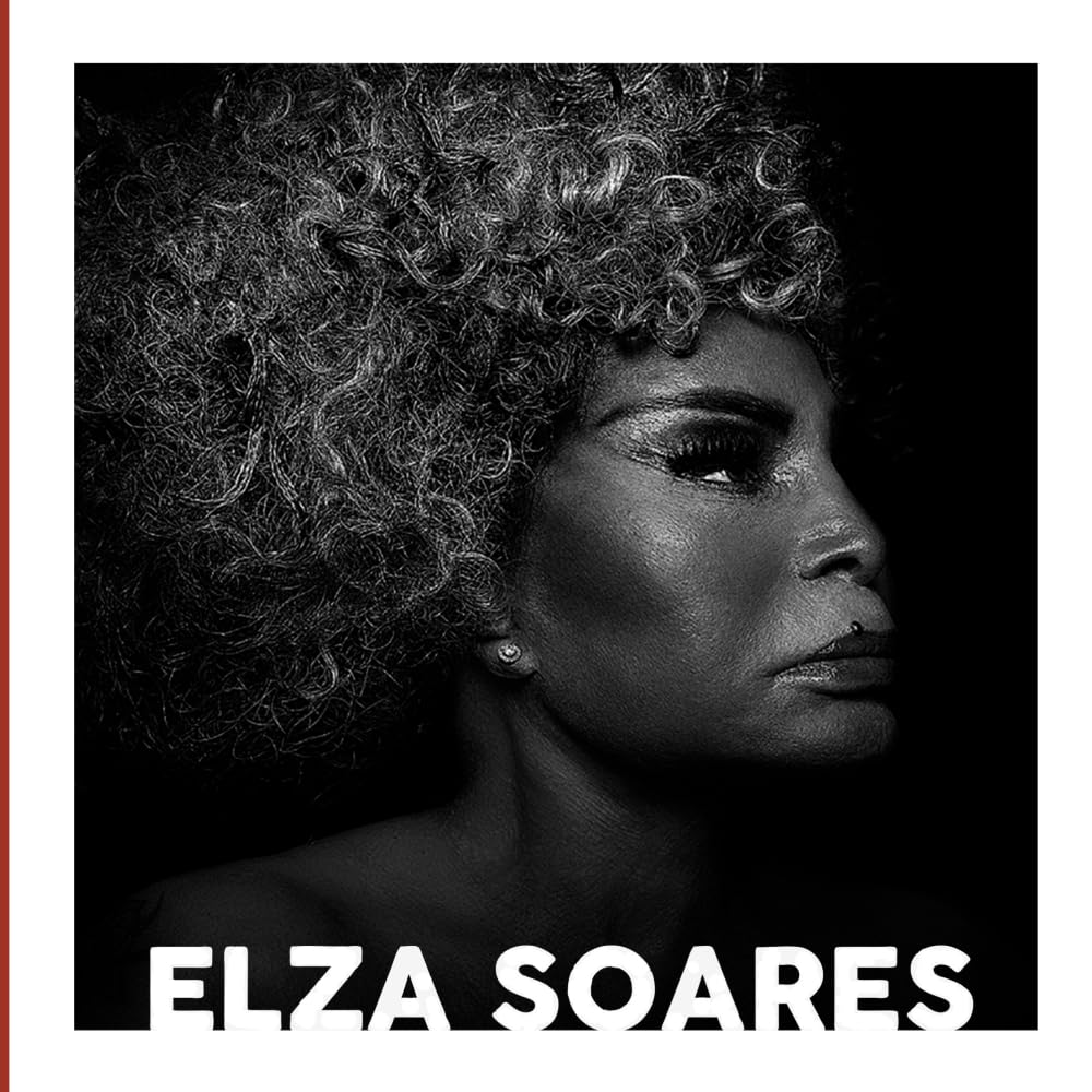 Elza Soares - Trajetória Musical baixar livro de graça