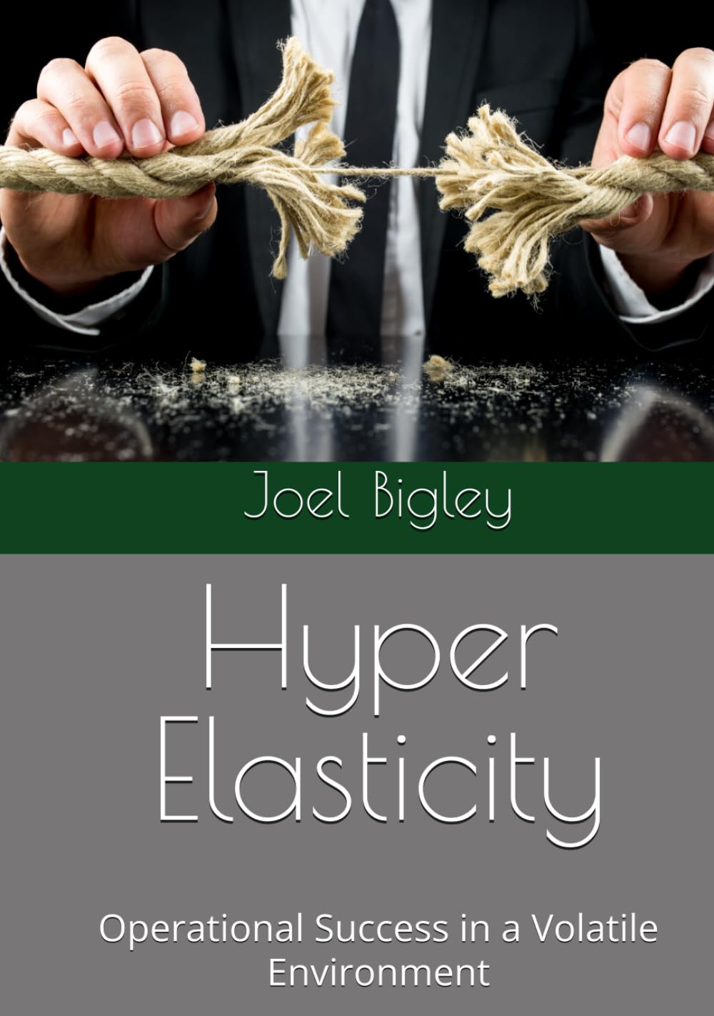 ler totalmente Hyper Elasticity: Operational Success in a Volatile Environment