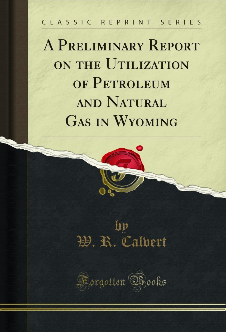 A Preliminary Report on the Utilization of Petroleum and Natural Gas in Wyoming (Classic Reprint) (English Edition) baixar livro de graça