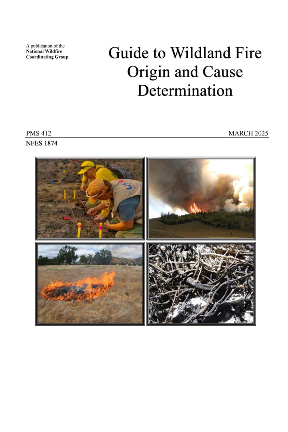 Guide to Wildland Fire Origin and Cause Determination: MARCH 2025 Edition NFES 1874 and PMS 412 Color 6 X 9 inch Paperback baixar livro de graça