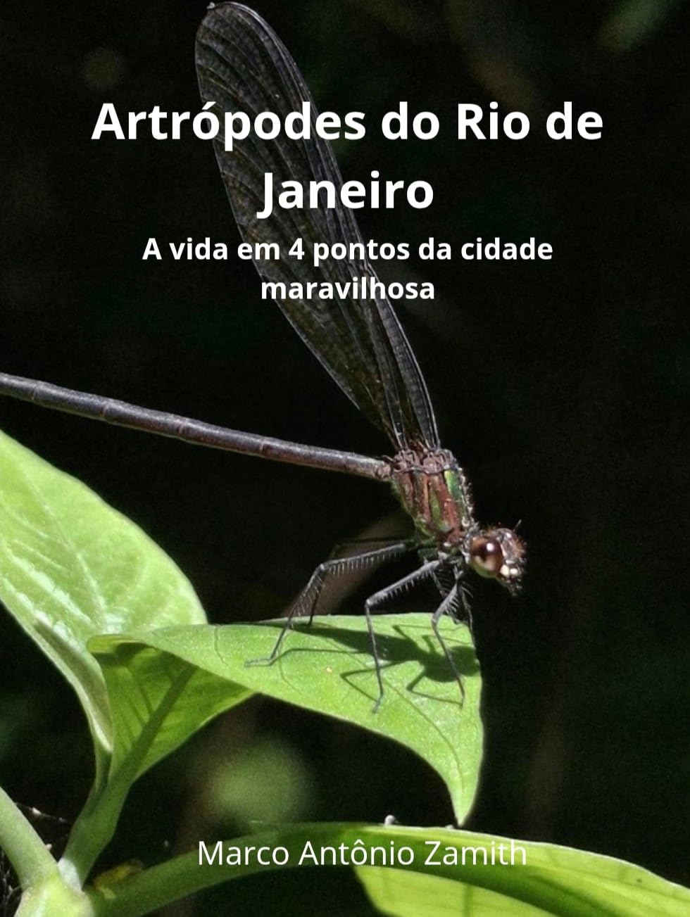 ler totalmente Artrópodes do Rio de Janeiro: a vida em 4 pontos da cidade maravilhosa