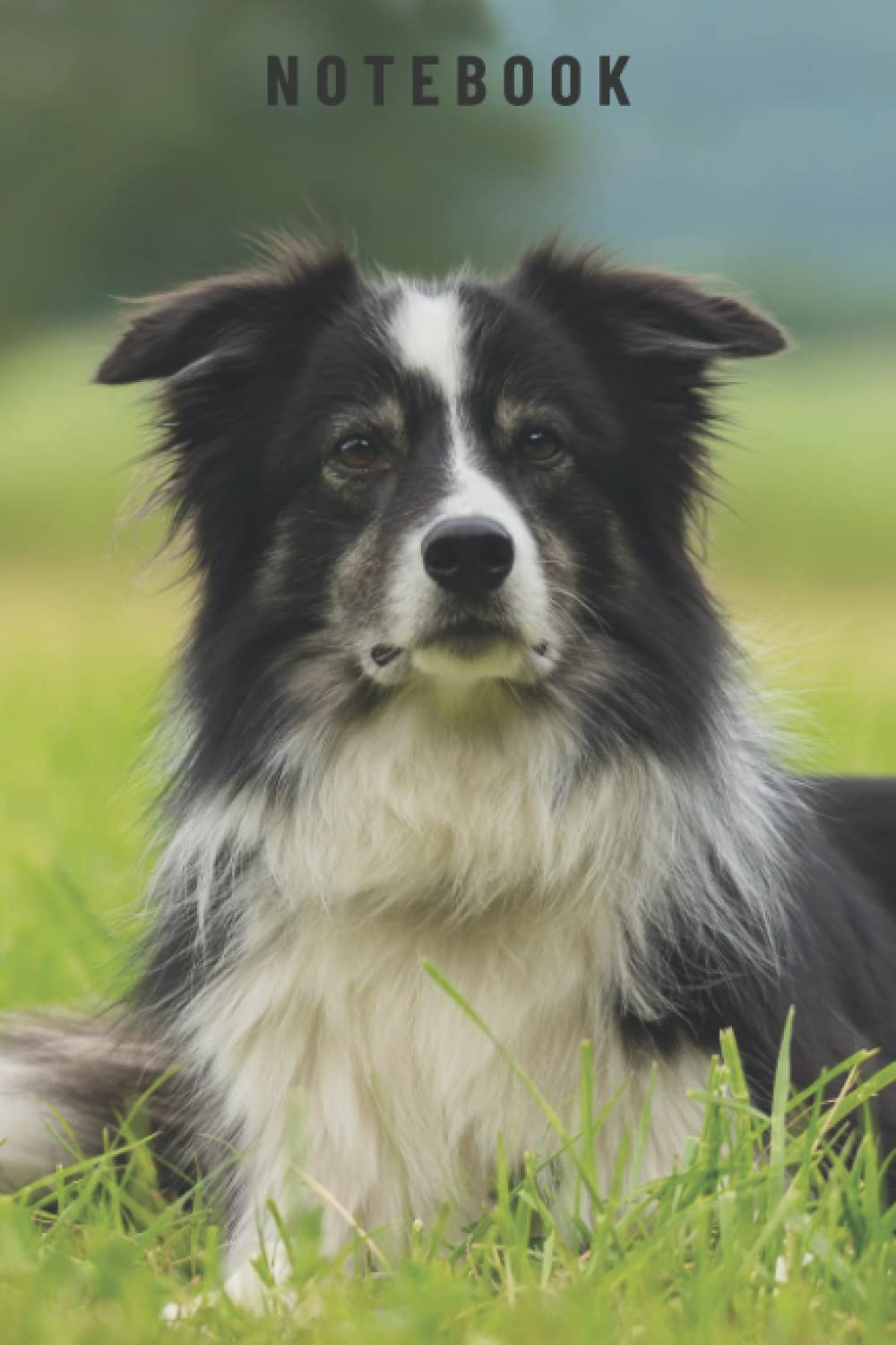 Border Collie Dog Lined Notebook baixar o livro de graça