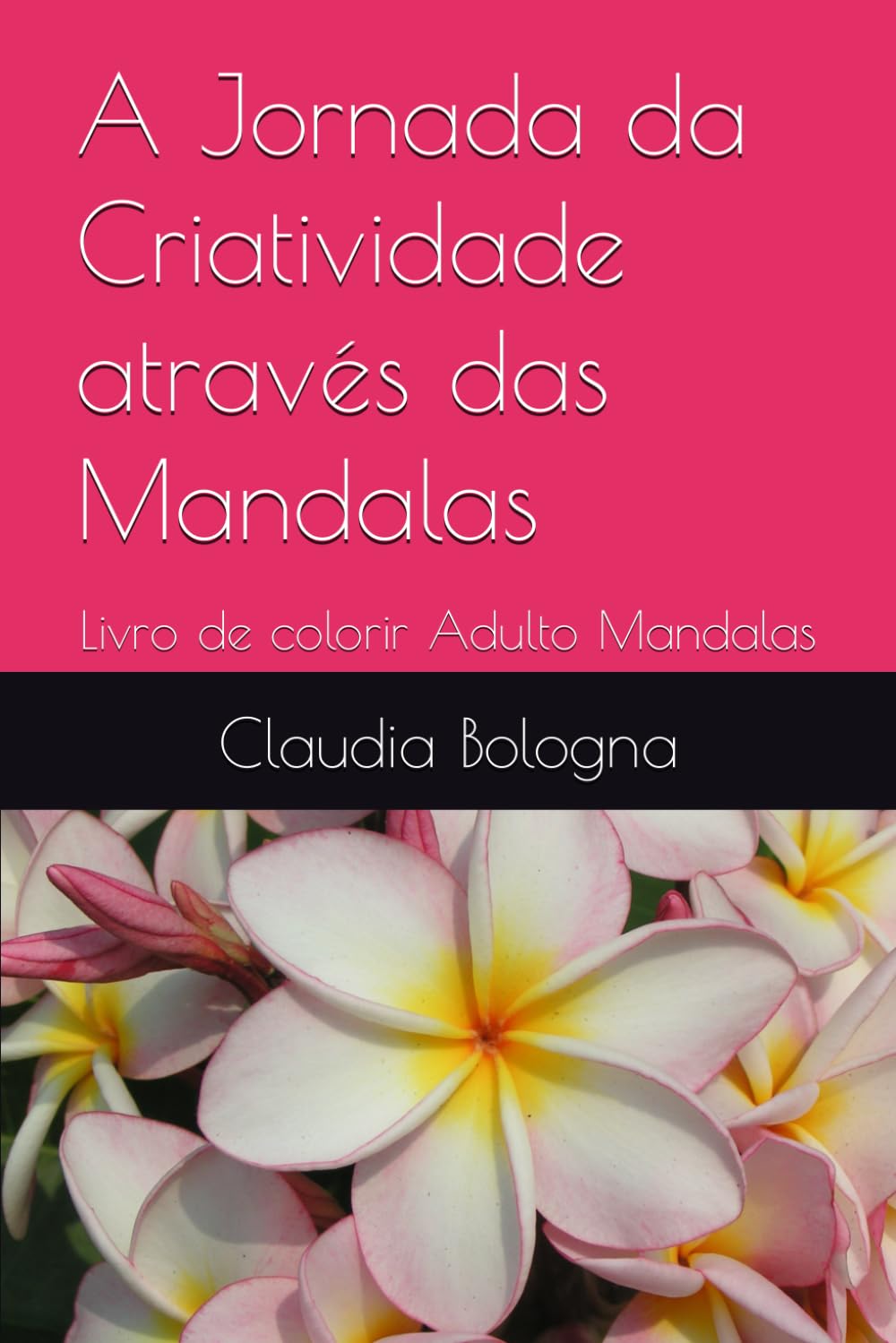 capítulo por capítulo baixar A Jornada da Criatividade através das Mandalas: Livro de colorir Adulto Mandalas (Portuguese Edition)