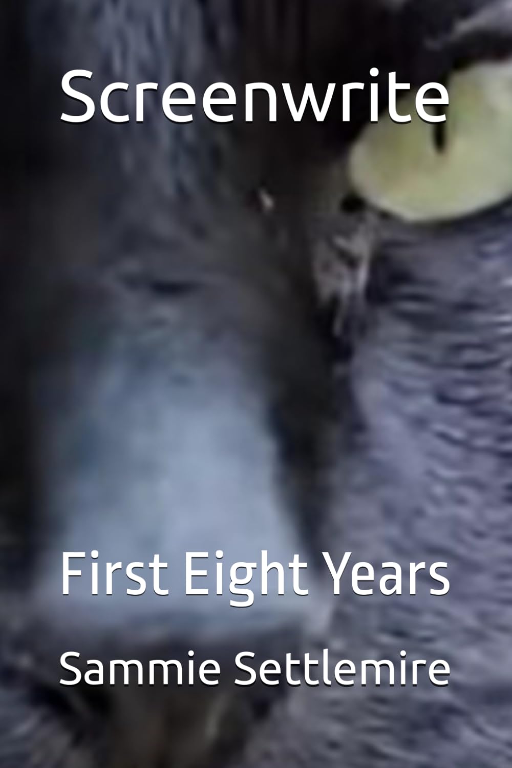 Screenwrite: First Eight Years baixar livro de graça