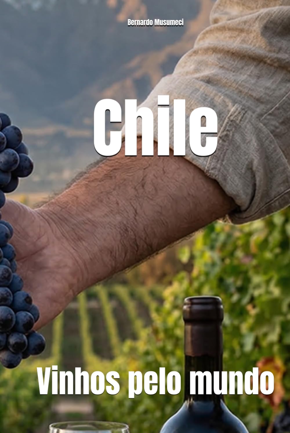 Chile: Vinhos pelo mundo (Wines of the World) (Portuguese Edition) baixar livro de graça