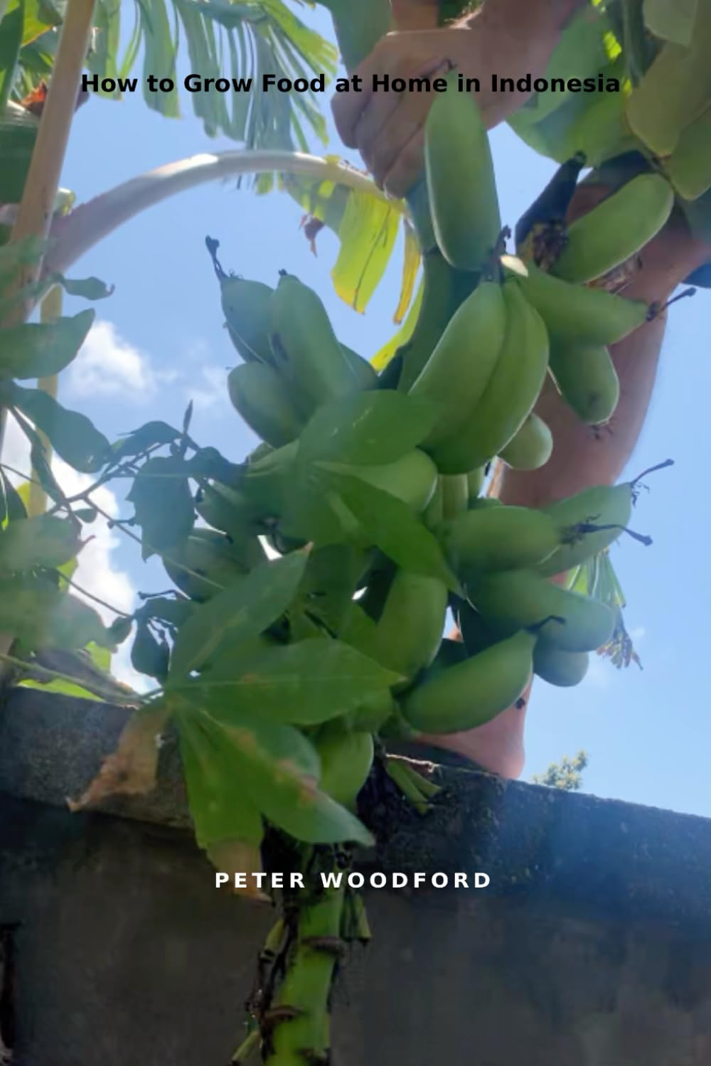 How to Grow Food at Home in Indonesia baixar livro de graça