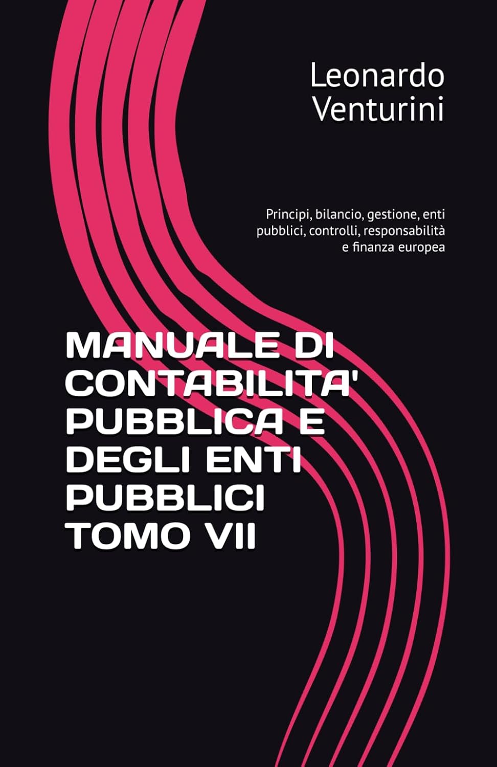 MANUALE DI CONTABILITA' PUBBLICA E DEGLI ENTI PUBBLICI TOMO VII: Principi, bilancio, gestione, enti pubblici, controlli, responsabilità e finanza europea (Italian Edition) baixar o livro de graça