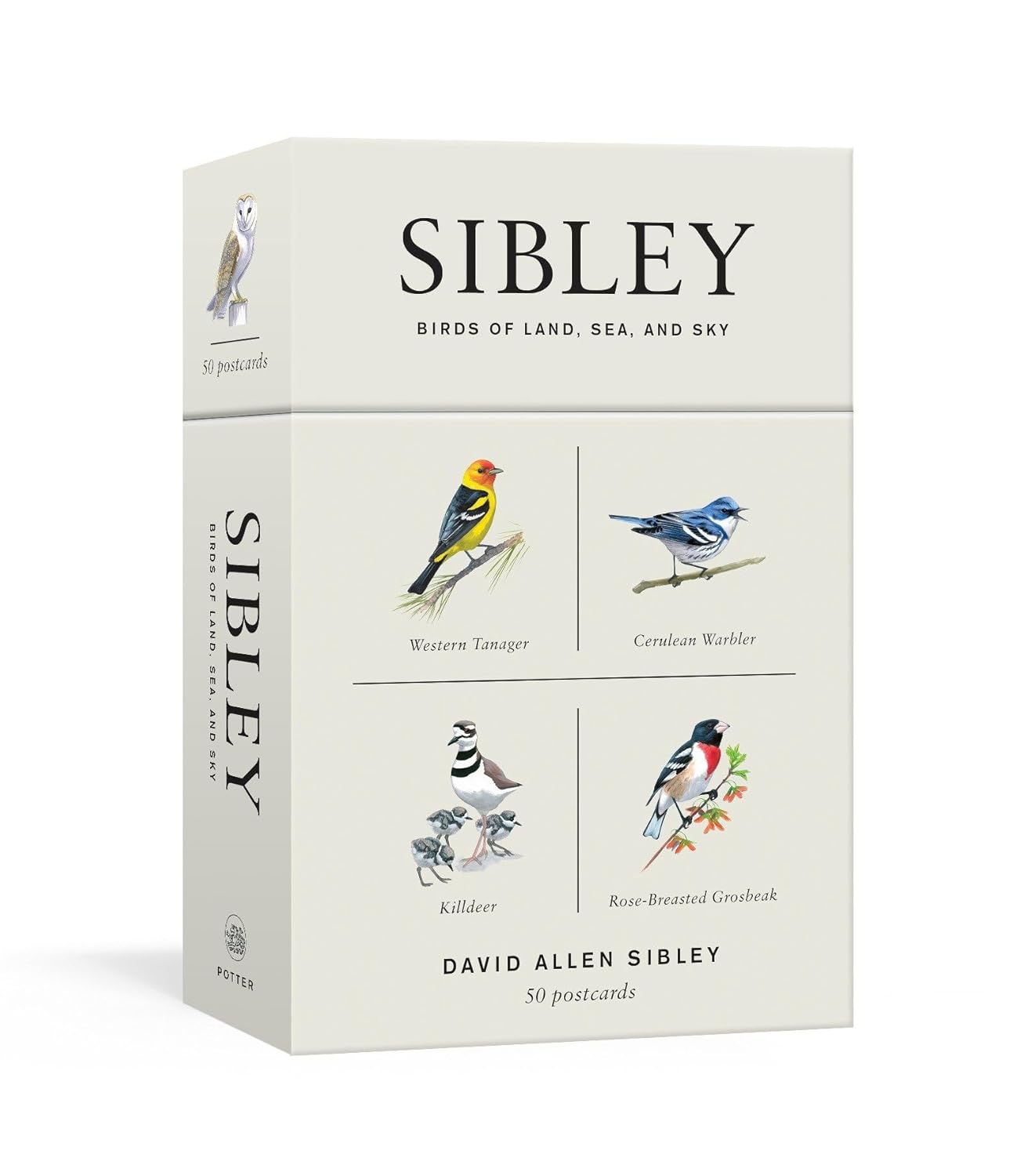 capítulo por capítulo baixar Sibley Birds of Land, Sea, and Sky: 50 Postcards