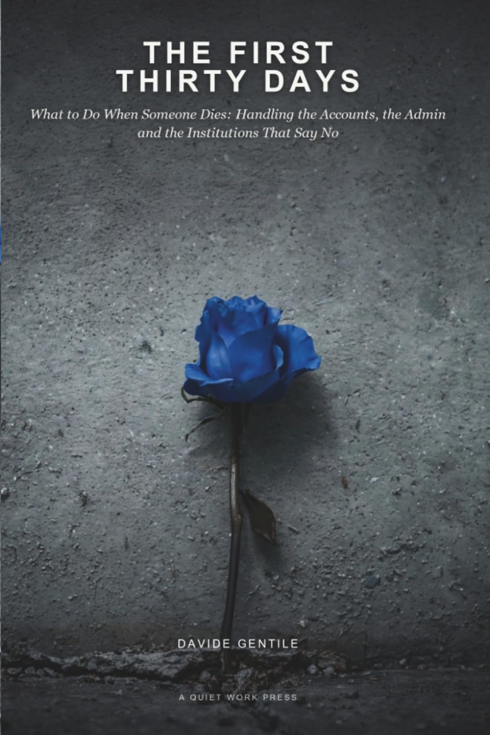 The First Thirty Days: What to Do When Someone Dies, Handling the Accounts, the Admin and the Institutions That Say No baixar o livro de graça