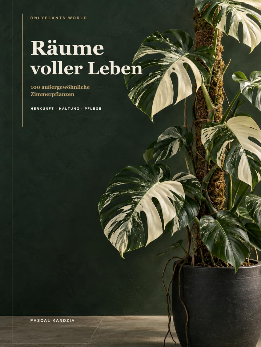 Räume voller Leben: 100 außergewöhnliche Zimmerpflanzen – Herkunft, Haltung & Pflege (German Edition) baixar livro de graça