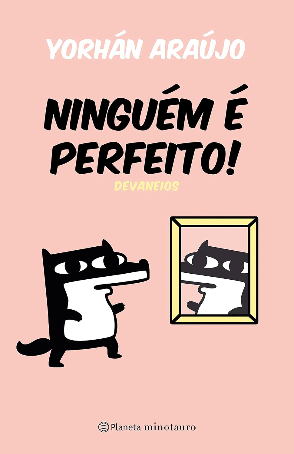 Ninguém é perfeito: Devaneios baixar o livro de graça